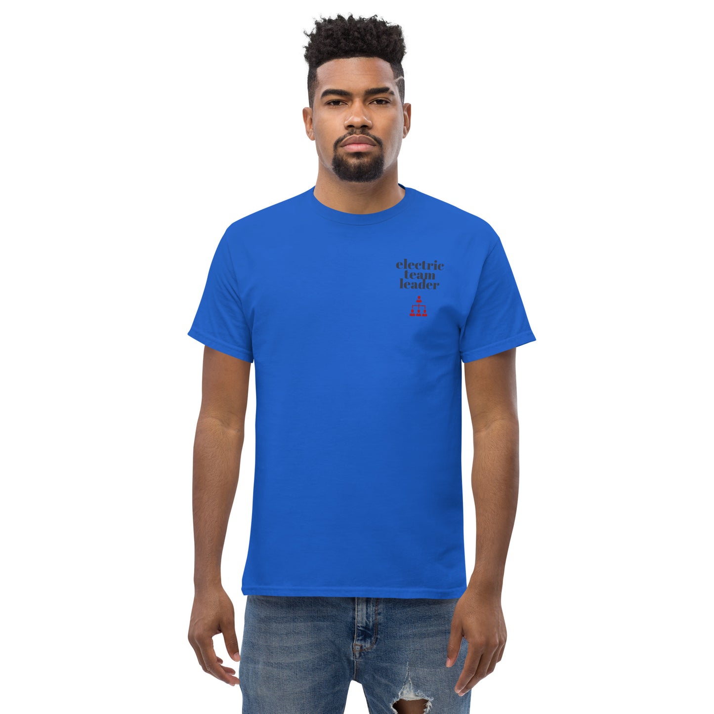 Electric Team Leader